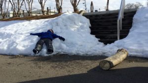 薪集め街路樹